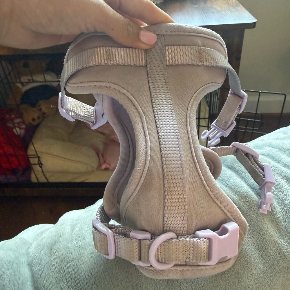 Wild one Purple Dog Harness